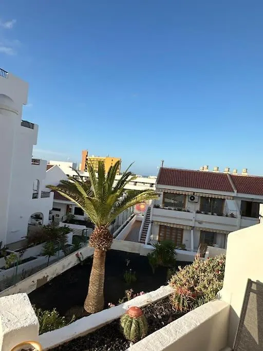 Ferienwohnung Modern,Strandnaehe, Club Olympus, Garten City Tenerife Playa Feñabe
